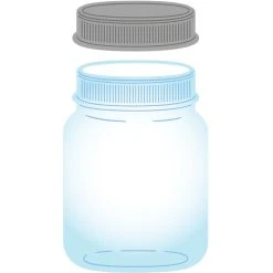 Honey Bee - Mason Jar Vase - Honey Cuts